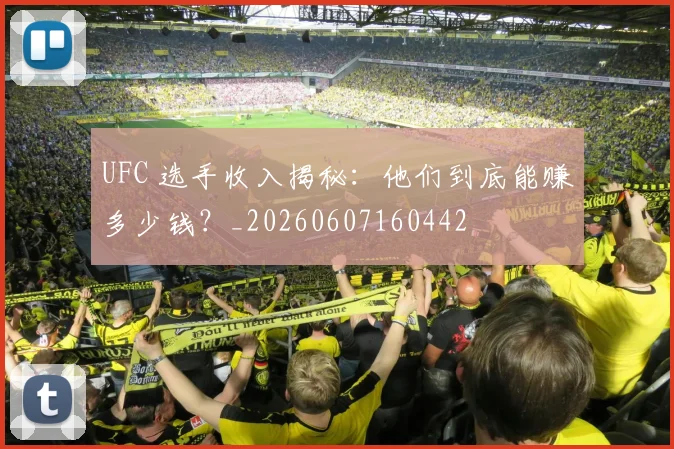 UFC 选手收入揭秘：他们到底能赚多少钱？_20260607160442